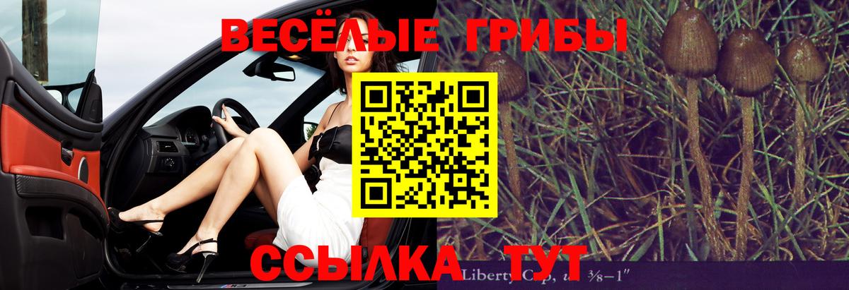 Псилоцибиновые грибы ЛСД Каменск-Шахтинский