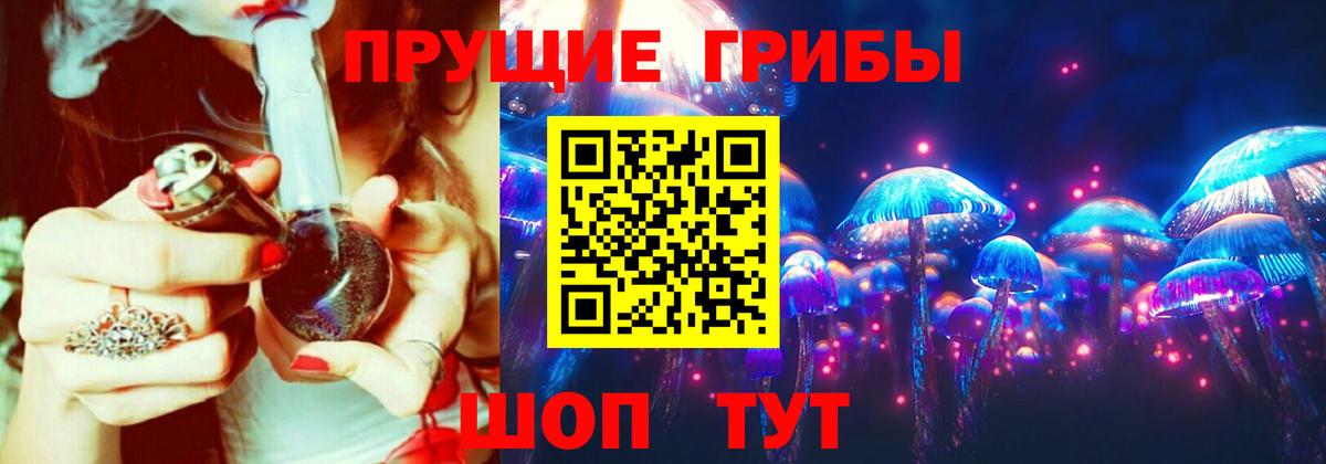 закладки  Вход с VPN  Каменск-Шахтинский  Галлюциногенные грибы MAGIC MUSHROOMS 